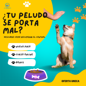 Entrenamiento Canino